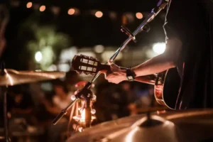 Pop zomeravond Papendrecht